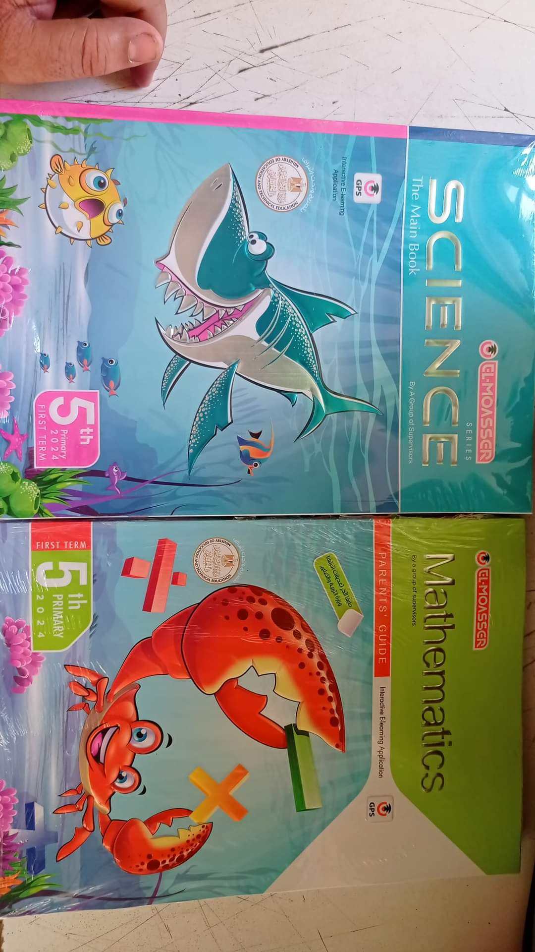 مكتبة الزهراء