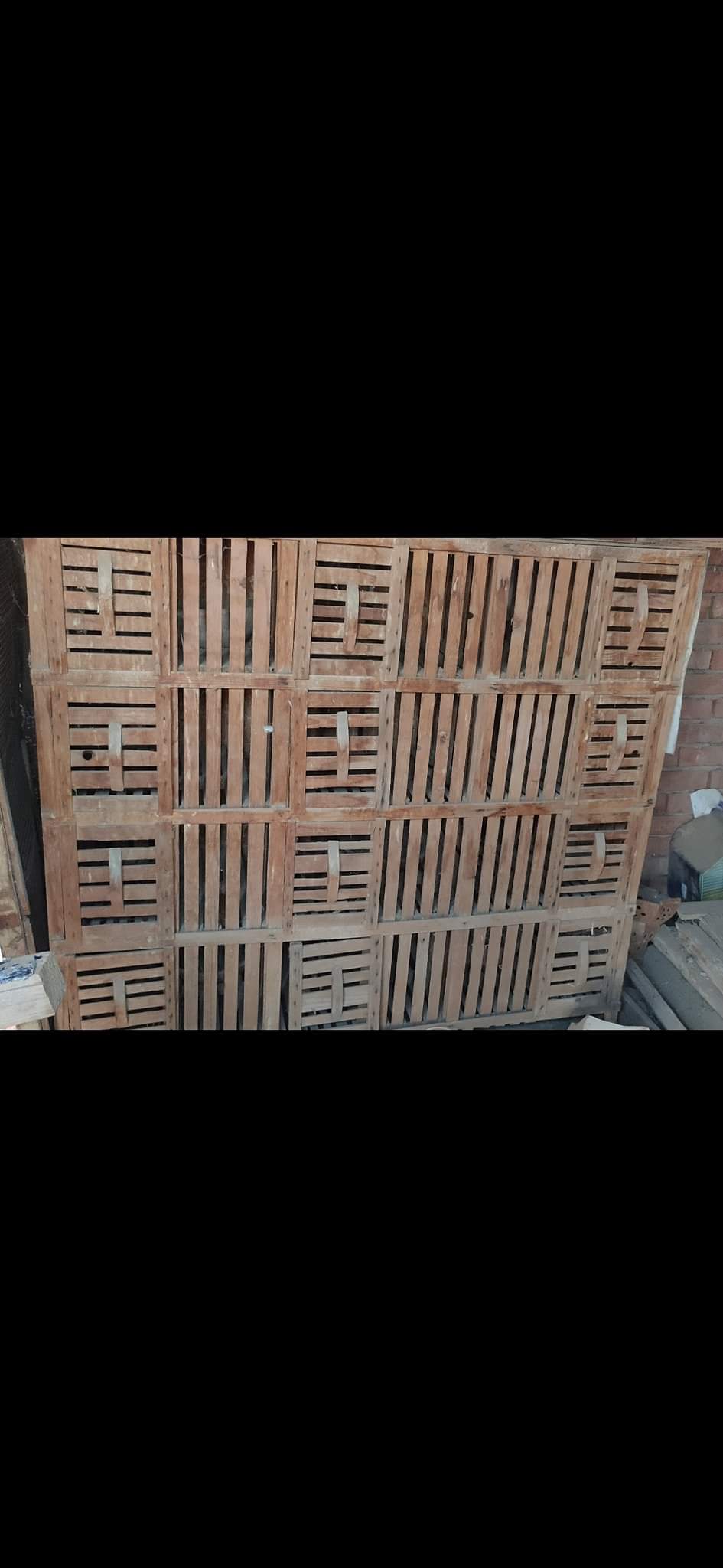 موجود عيون حمام حالتها كويسه  12عين