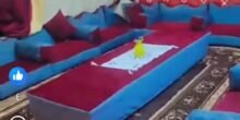 قاعده عربي قطن